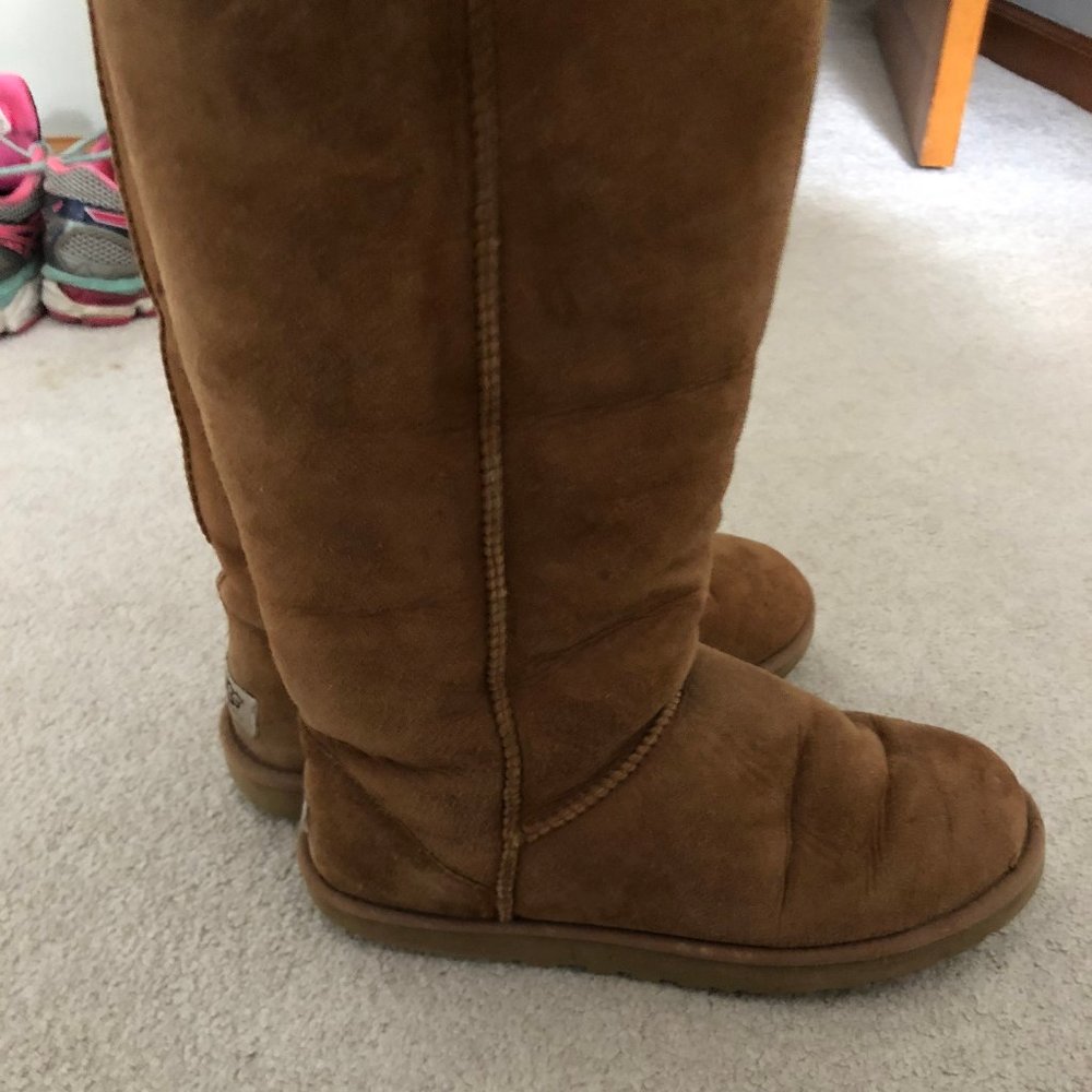 chestnut tall uggs